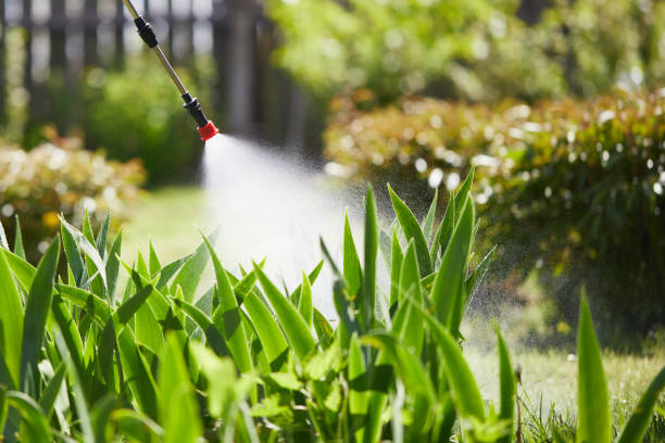 Tamper-Resistant Bait Stations for Rodents in Hickman