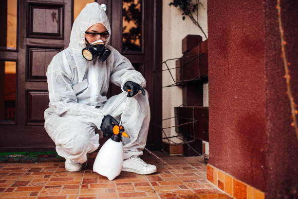 Attic and Crawl Space Rodent Treatment in Hickman