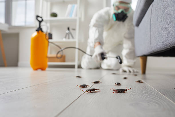 Commercial Rodent Management in Hickman